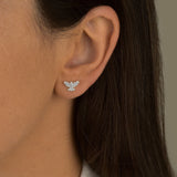 Brinco Espírito Santo